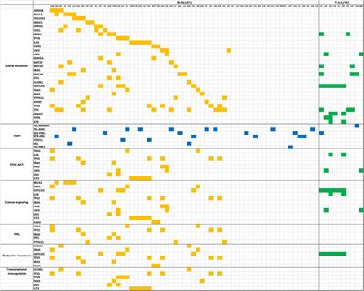 Gene Mutations Related to Glucocorticoid Resistance in Pediatric Acute Lymphoblastic Leukemia